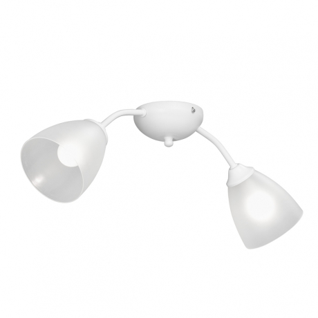 Накладной светильник Vitaluce V3184 V3737-0/2PL 