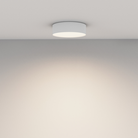 Потолочный светильник Technical C032CL-24W4K-RD-W Zon 